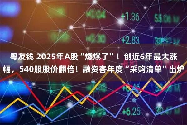 粤友钱 2025年A股“燃爆了”！创近6年最大涨幅，540股股价翻倍！融资客年度“采购清单”出炉