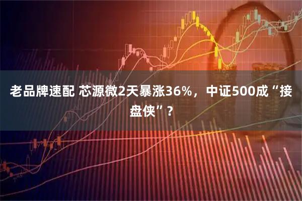 老品牌速配 芯源微2天暴涨36%，中证500成“接盘侠”？