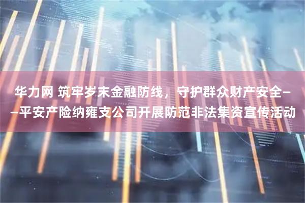华力网 筑牢岁末金融防线，守护群众财产安全——平安产险纳雍支公司开展防范非法集资宣传活动