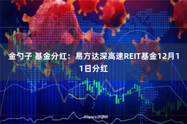 金勺子 基金分红：易方达深高速REIT基金12月11日分红